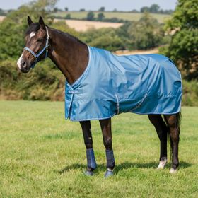 Bucas PONY Freedom Turnout light in blueberry