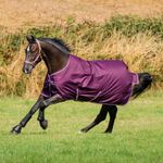 Bucas PONY Freedom Turnout light in blackberry