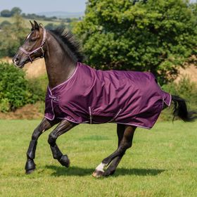 Bucas PONY Freedom Turnout light in blackberry