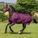 Bucas PONY Freedom Turnout 150g Füllung in blackberry