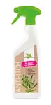 Bense & Eicke Anti-Itch