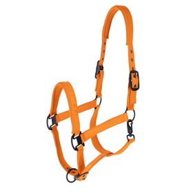 COVALLIERO Halfter in orange 