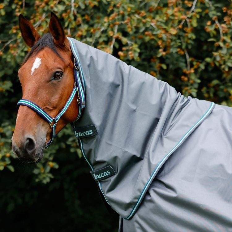 Bucas Smartex Halsteil in iron gate/teal