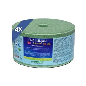 PRO IMMUN Mineralleckstein, 3kg
