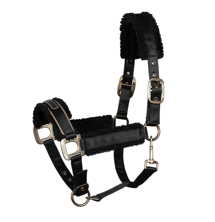 CAVALLIDI Halfter in black