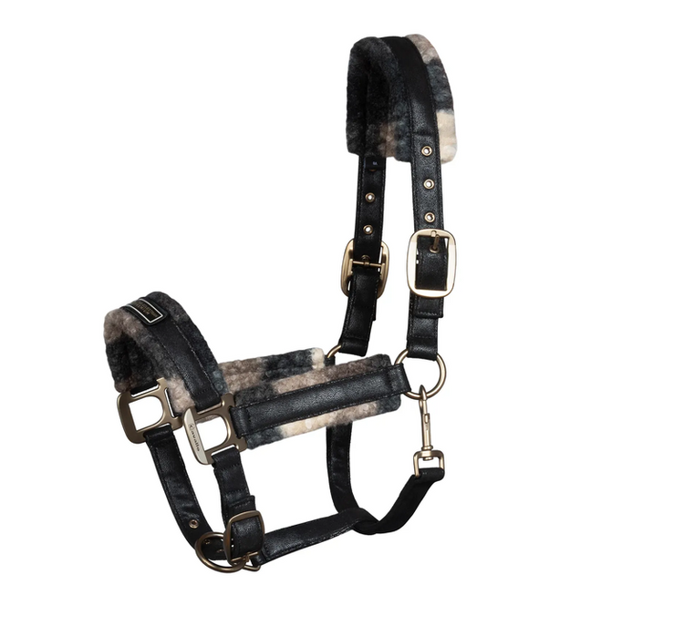 CAVALLAVI Halfter in check