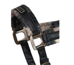 CAVALLAVI Halfter in check