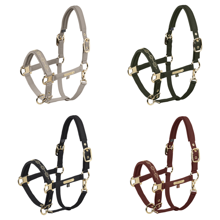 Eskadron Heritage Halfter Sparkle Double Pin