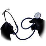 09300-B.png