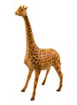38031-wilde-tiere-Giraffe.jpg