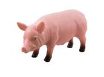 38032-Bauernhoftiere-Schwein.jpg