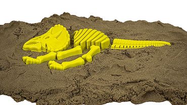 Dino Sandform