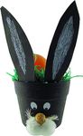 70152-Hase-3.jpg