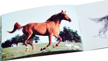 Magic Book