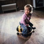 51100-B-1-wheelybug.jpg