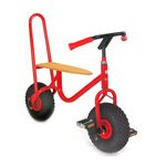 50500-t6220-rose-fahrrad-mit-ballonreifen-2d-B.jpg