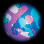 40425-violett-blau.jpg