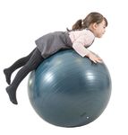 55053-2-GymBall-75cm.jpg