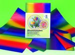 4732299-Regenbogen-Blumenseide.jpg