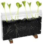62081-1-Wurmfarm.jpg