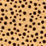 F5774.jpg