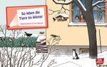 30070-51523-So-leben-die-Tiere-im-Winter.jpg