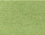 Wasabi 622