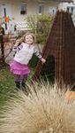 99052-Tipi-Faltbar.jpg