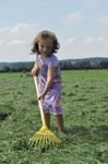 21004-1-Laubrechen.jpg