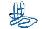 22050-Pferdleine-2-blau.jpg
