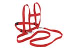 22050-Pferdleine-2-rot.jpg
