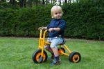 50003-757025-RABO-Trike-1-Small--4-.jpg