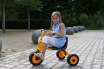 50003-757028-RABO-Tricart-2000--1-.jpg