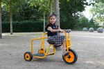 50003-757031-RABO-Chariot-Trike--6-.jpg