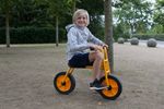 50003-757034-RABO-Maxi-Bike--5-.jpg