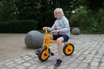50003-757034-RABO-Maxi-Bike--7-.jpg