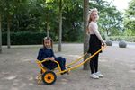 50003-757043-RABO-Rickshaw--5-.jpg