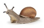 38094-50262-schnecke1.jpg