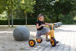 50003-757026-RABO-Trike-3-Large--1-.jpg