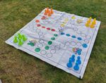 31045-1-ludo.jpg