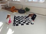 31059-4-schach.jpg