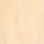 H1733-Birke.jpg