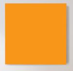 80001-bunt-schallwand-orange.jpg