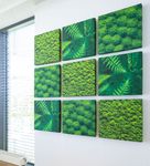 80001-bild-2.jpg