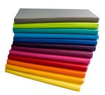 MLP-Liegepolster-bunt-2freigestellt.jpg