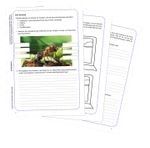 62088-Ameisenwelt-arbeitsblatt.jpg