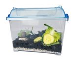 62087-Schnecken-Box-mit-Schnecke.jpg