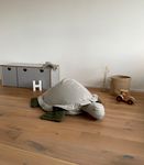 3006-Schildkroete-Sammyt.jpg