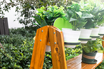 62047-Regal-outdoor-draussen-nah.png