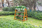 62047-Regal-outdoor-draussen.png